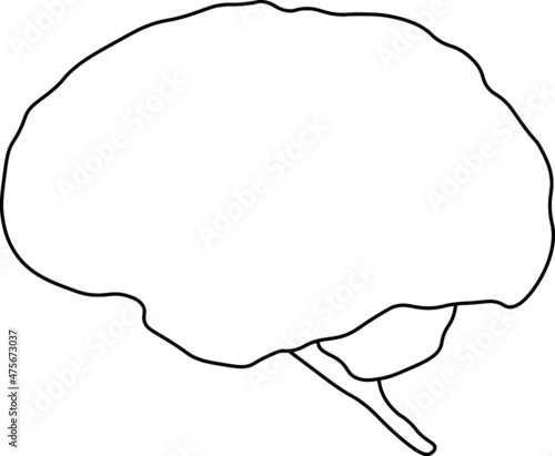 brain vector illustration shape black 