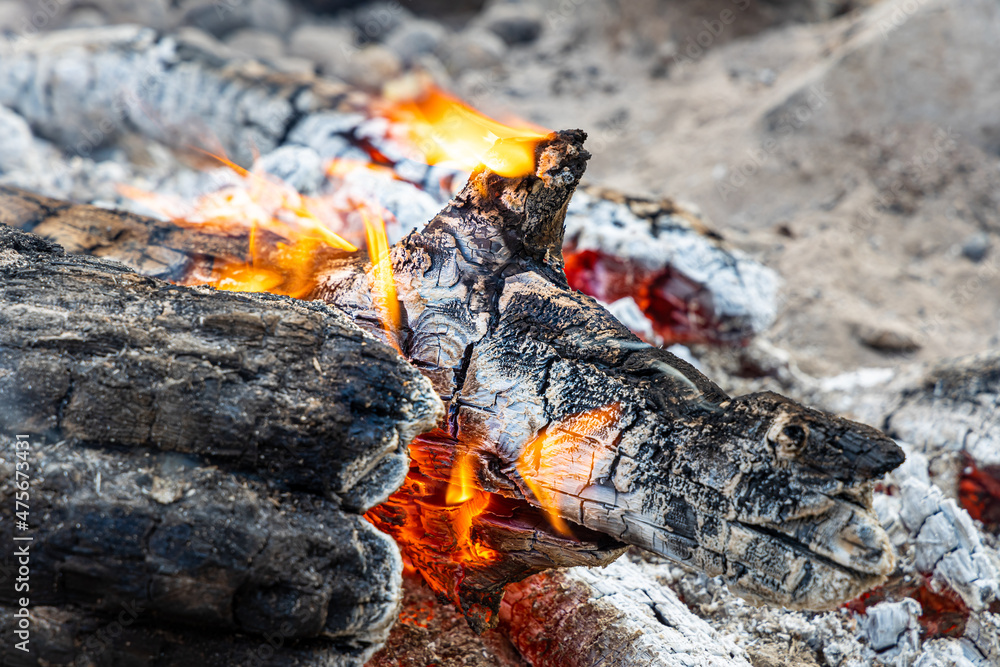 Gray burning trunks for a bonfire are in a fireplace in the forest Gray burning trunks for a bonfire are in a fireplace in the forest