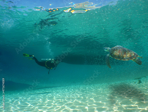 underwater scuba diver , caribbean sea , Venezuela
