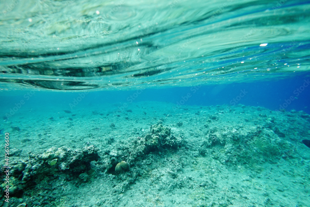 Obraz premium Underwater background