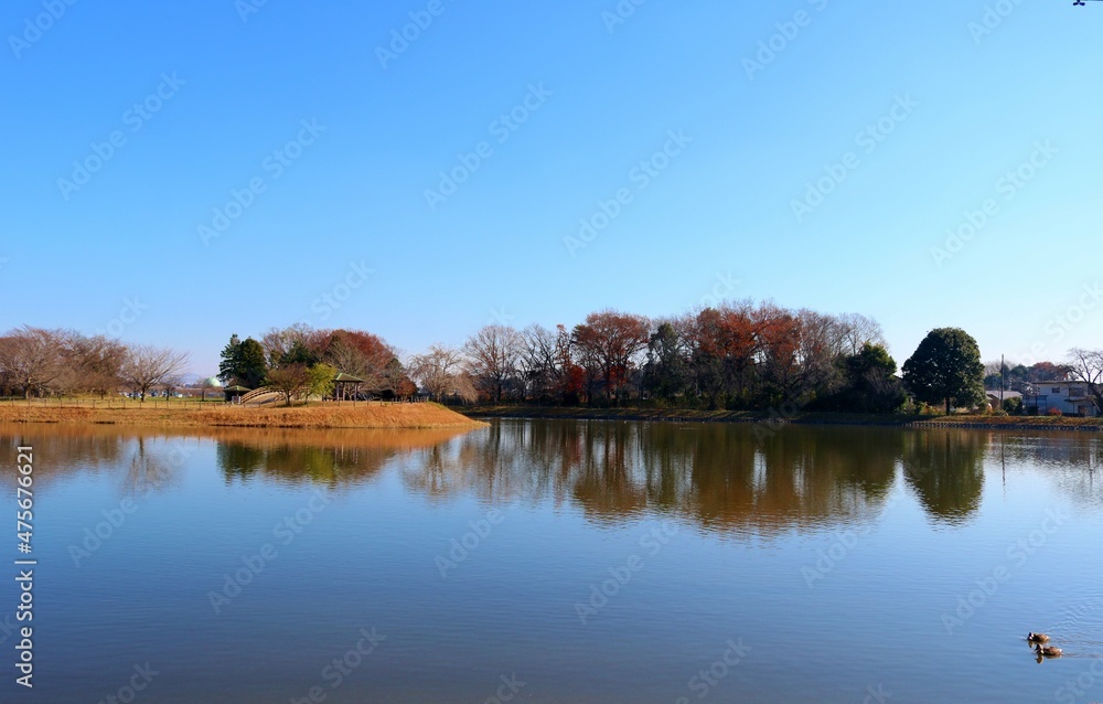 風景　冬　のんびり歩く