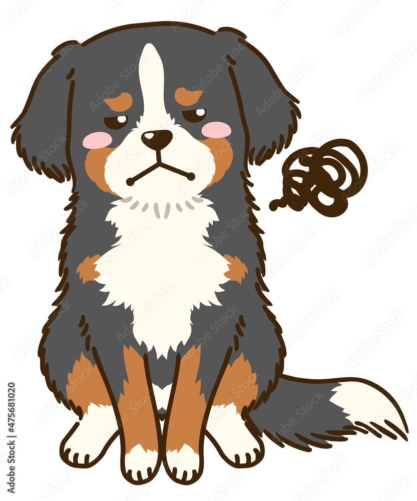 不満があるバーニーズマウンテンドッグ