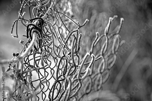 fence by fence close-up. frozen fence mesh with climbing plan. abstract mesh macro