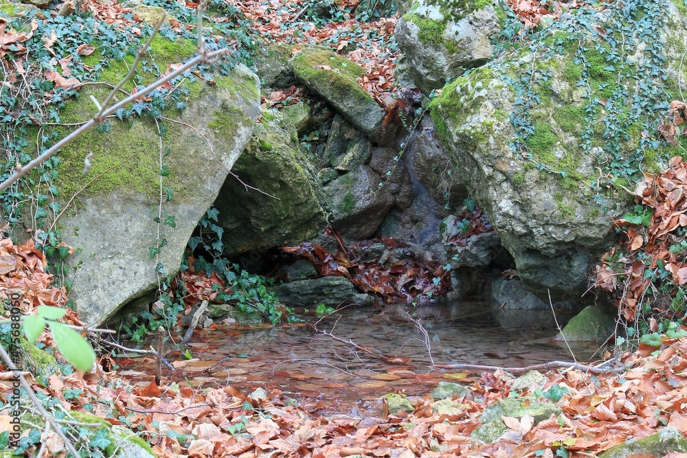 Water source between stones in autumn forest
Water source between stones in autumn forest