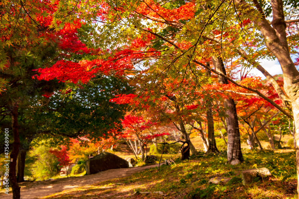 Naklejka premium 秋の旧長州藩主毛利家毛利氏庭園