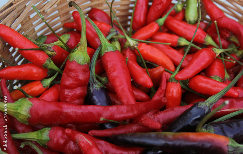 Colorful Basket of Peppers at a Rural Farmers Market