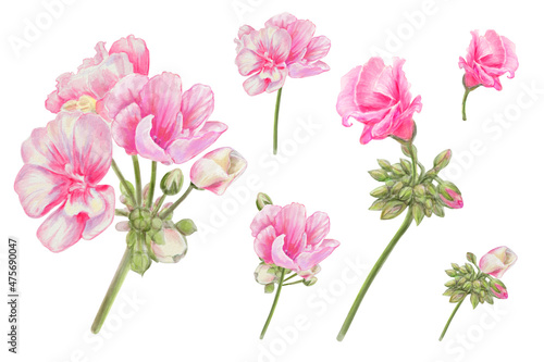 Realistic Bouquets of Pink flowers - Set for your own design. Vintage, romantic mood. For a wedding, birthday, St Valentine greeting card.
