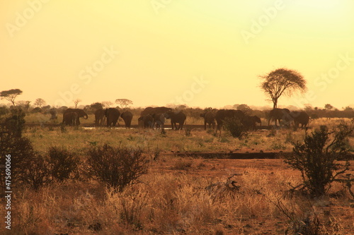 Kenia Travel Fotobehang