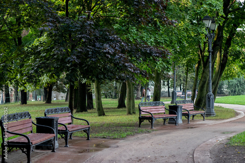 three benches in a green park © Дмитрий Косолапов