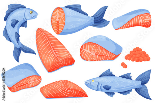 Salmon meat. Cartoon raw steak and fresh fillet, salmon sea food ingredient. Vector isolated set