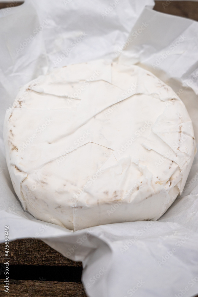Photos of camembert cheese with white mold Photos of camembert cheese with white mold