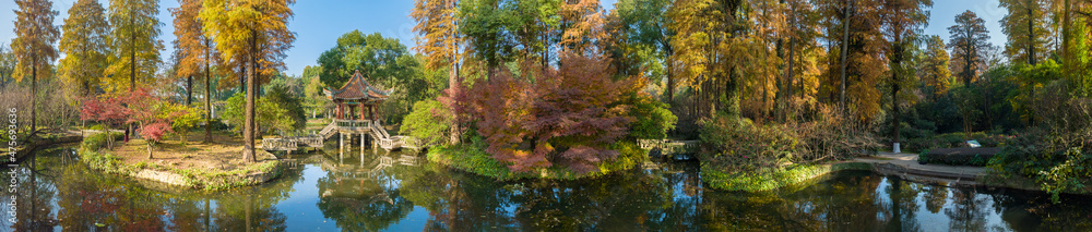 Naklejka premium Autumn scenery in Wuhan Botanical Garden, Hubei, China