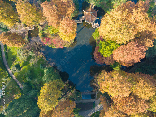 Autumn scenery in Wuhan Botanical Garden, Hubei, China © Hao