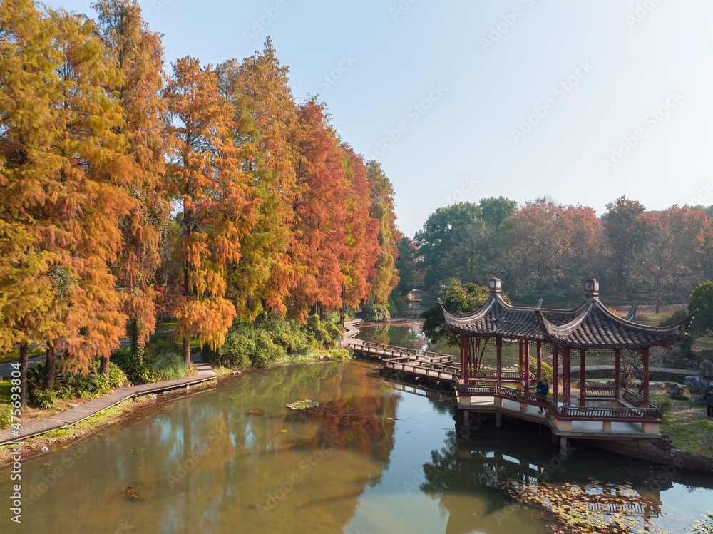 Autumn scenery in Wuhan Botanical Garden, Hubei, China