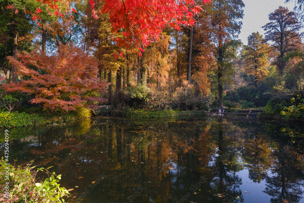Autumn scenery in Wuhan Botanical Garden, Hubei, China Autumn scenery in Wuhan Botanical Garden, Hubei, China