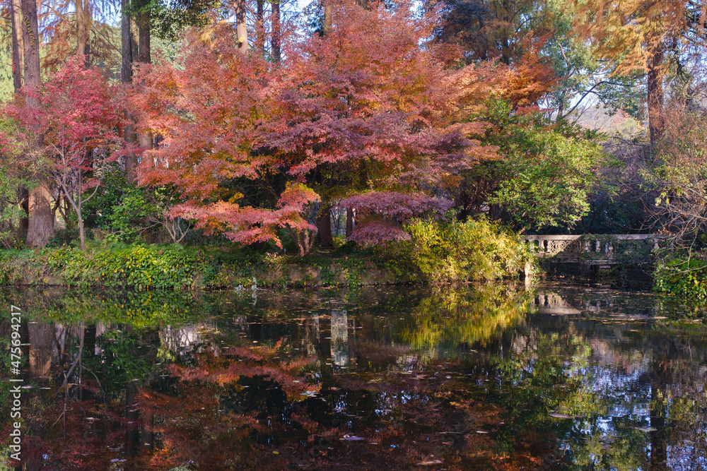 Autumn scenery in Wuhan Botanical Garden, Hubei, China Autumn scenery in Wuhan Botanical Garden, Hubei, China