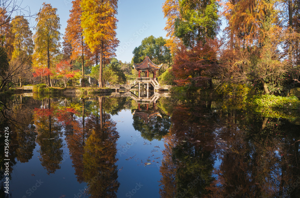 Autumn scenery in Wuhan Botanical Garden, Hubei, China Autumn scenery in Wuhan Botanical Garden, Hubei, China