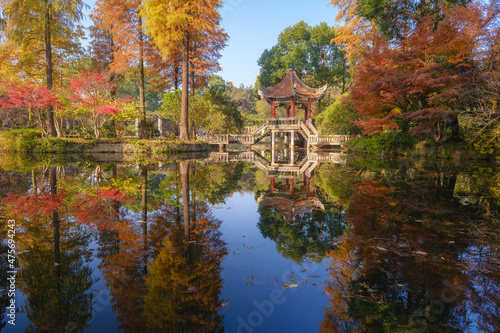 Fototapeta Naklejka Na Ścianę i Meble -  Autumn scenery in Wuhan Botanical Garden, Hubei, China