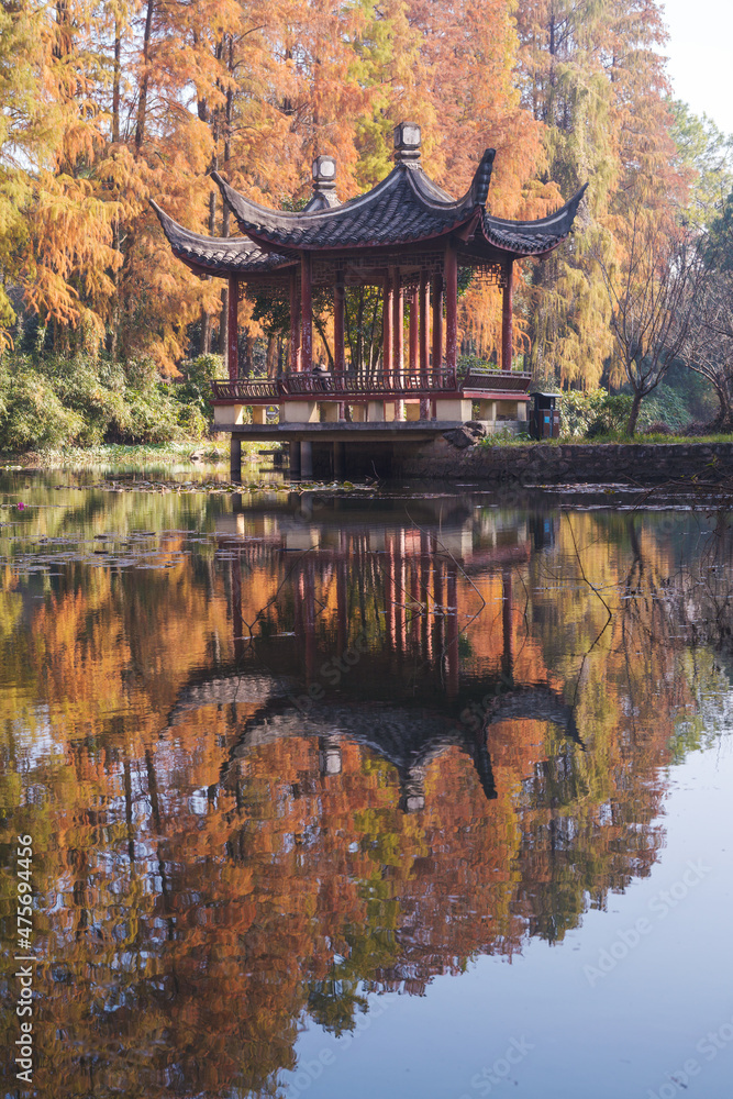 Autumn scenery in Wuhan Botanical Garden, Hubei, China Autumn scenery in Wuhan Botanical Garden, Hubei, China