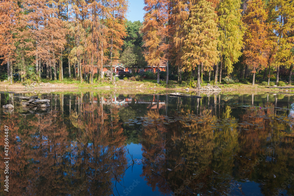 Autumn scenery in Wuhan Botanical Garden, Hubei, China