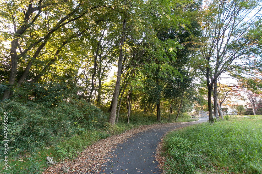 Fototapeta premium 王禅寺公園（神奈川県川崎市麻生区王禅寺）