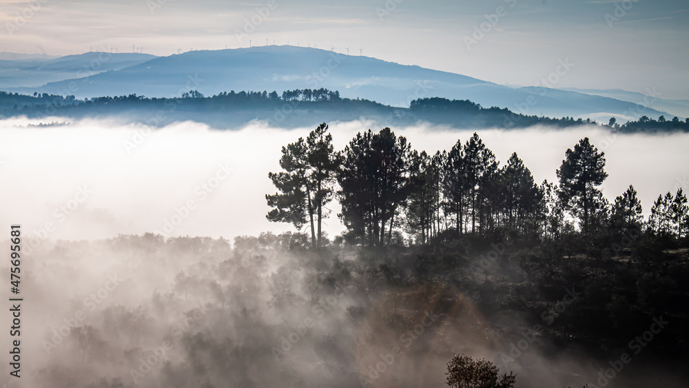 Fototapeta premium Landscape overview through the fog (Régua, Portugal)