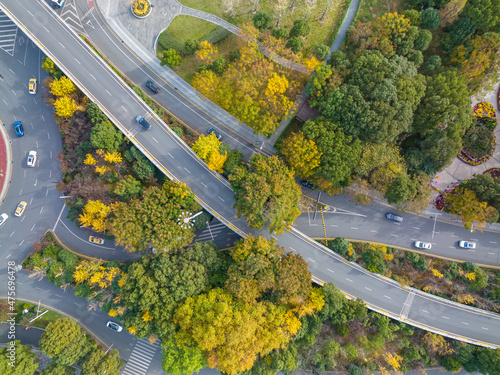 Photography Autumn scenery of Yuehu Park in Wuhan, Hubei, China