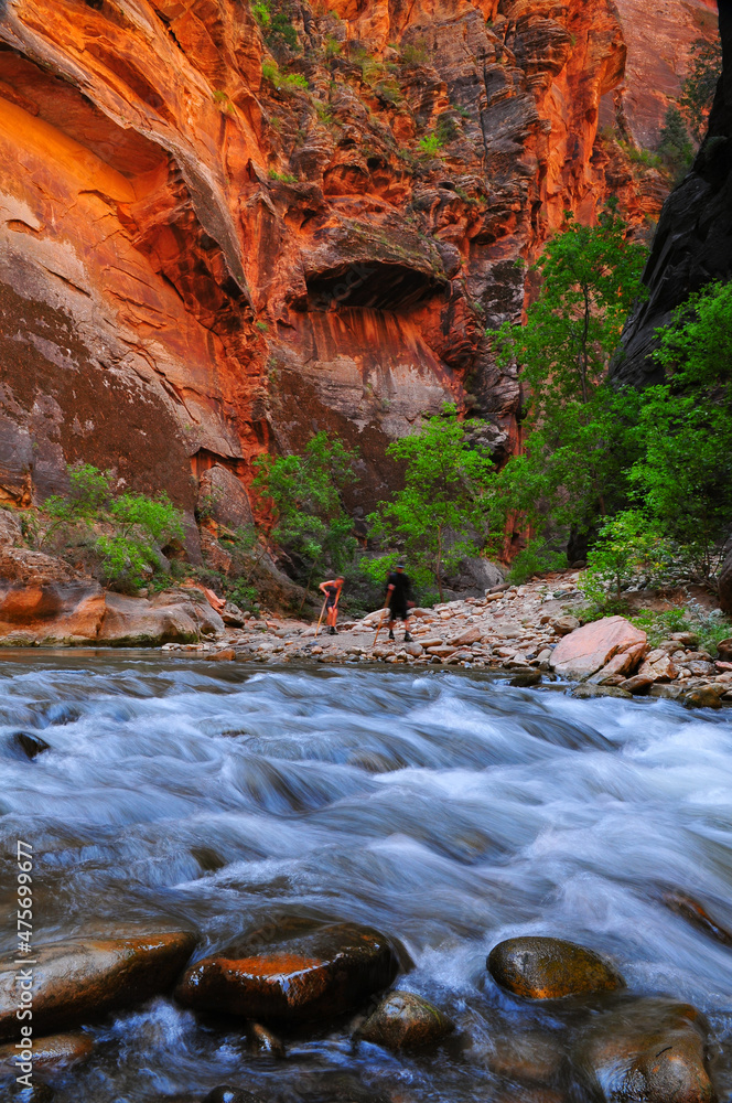 Hiking inside the Narrows of the Virgin River, Zion National Park, Utah, Southwest USA Hiking inside the Narrows of the Virgin River, Zion National Park, Utah, Southwest USA
