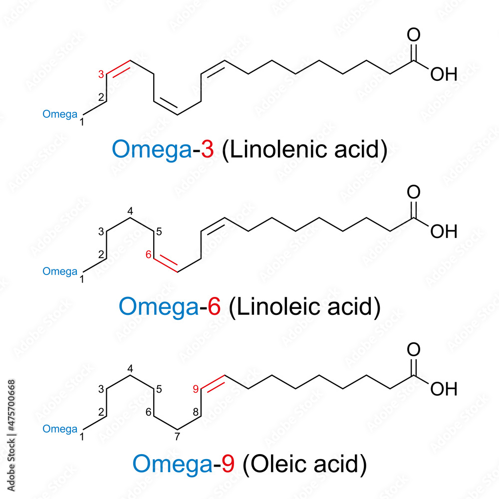 Omegan fatty acids, chemical structures. The position of the first