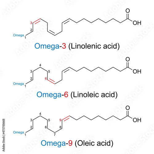 Omega-n fatty acids, chemical structures. The position of the first double bond of the fatty acid is given with n as a number, counting from the omega end of the molecule opposite the carboxyl group.