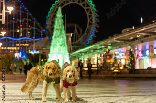 東京ドームシティウィンターイルミネーション／ゴールデンレトニエル