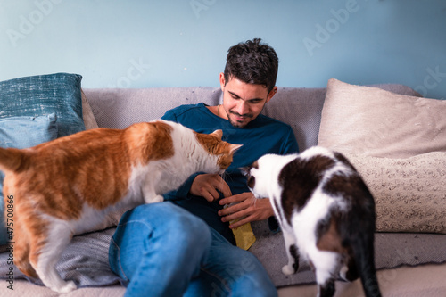 young man sitting on a gray sofa interacts with two domestic cats