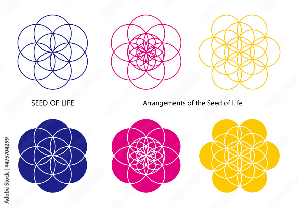 フラワーオブライフ の画像 31 件の Stock 写真 ベクターおよびビデオ Adobe Stock
