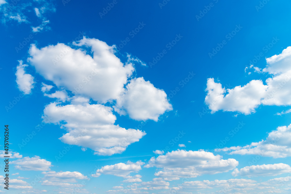 Fototapeta premium White clouds in blue sky.