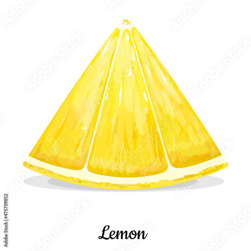 Lemon fruit slice isolated on white background. Vegetarian, organic food. Vector Illustration. 