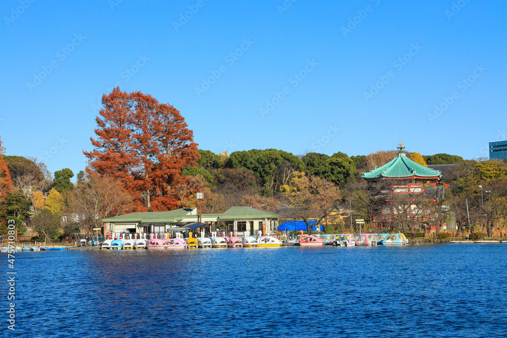 Fototapeta premium 【東京都】上野恩賜公園周辺と不忍池の風景