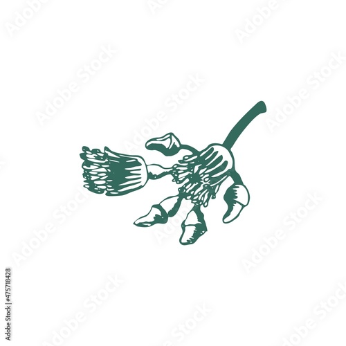 Eucalyptus branch on white background. Hand drawn botanical illustration with green contour lines in vector. Monochrome floral elements fot textile and wallpaper.