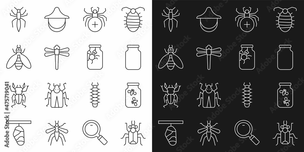 Set line Beetle bug, Fireflies bugs in a jar, Glass, Spider, Dragonfly, and icon. Vector