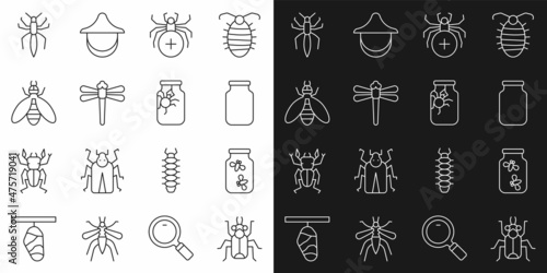 Set line Beetle bug, Fireflies bugs in a jar, Glass, Spider, Dragonfly, and icon. Vector