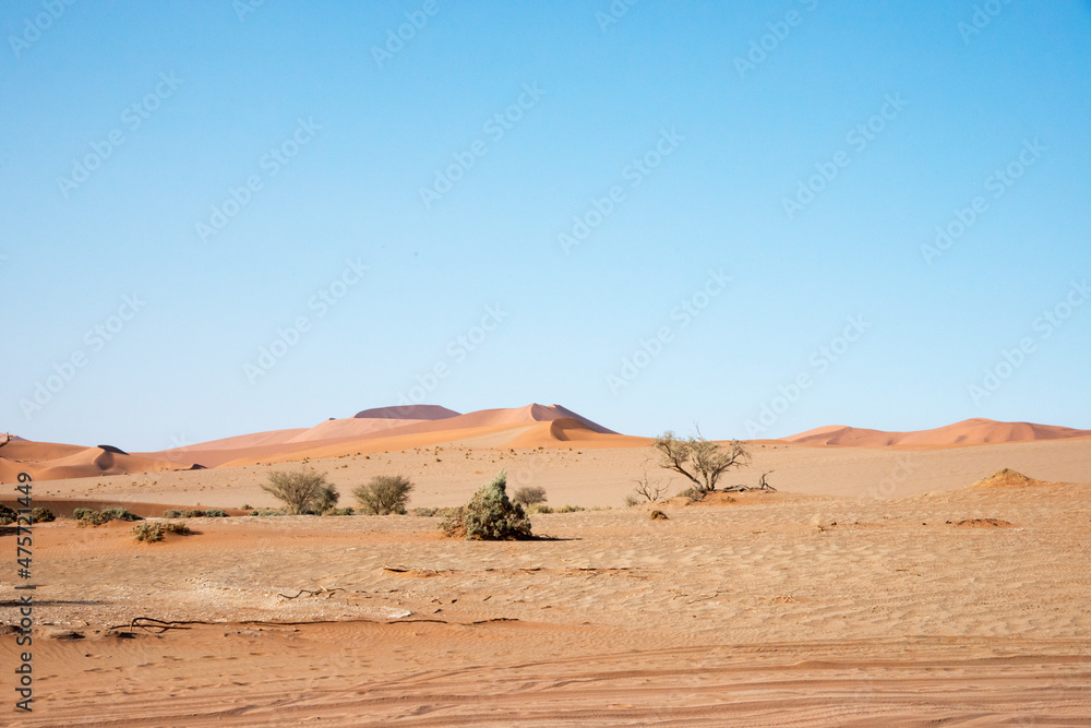 Arid landscape in Namib desert. Blue sky, no people. Namibia