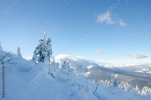 winter mountain landscape © Ihor Zarutskyi