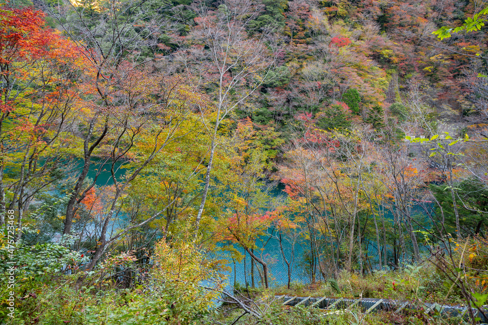 静岡県榛原郡川根本町　紅葉の寸又峡