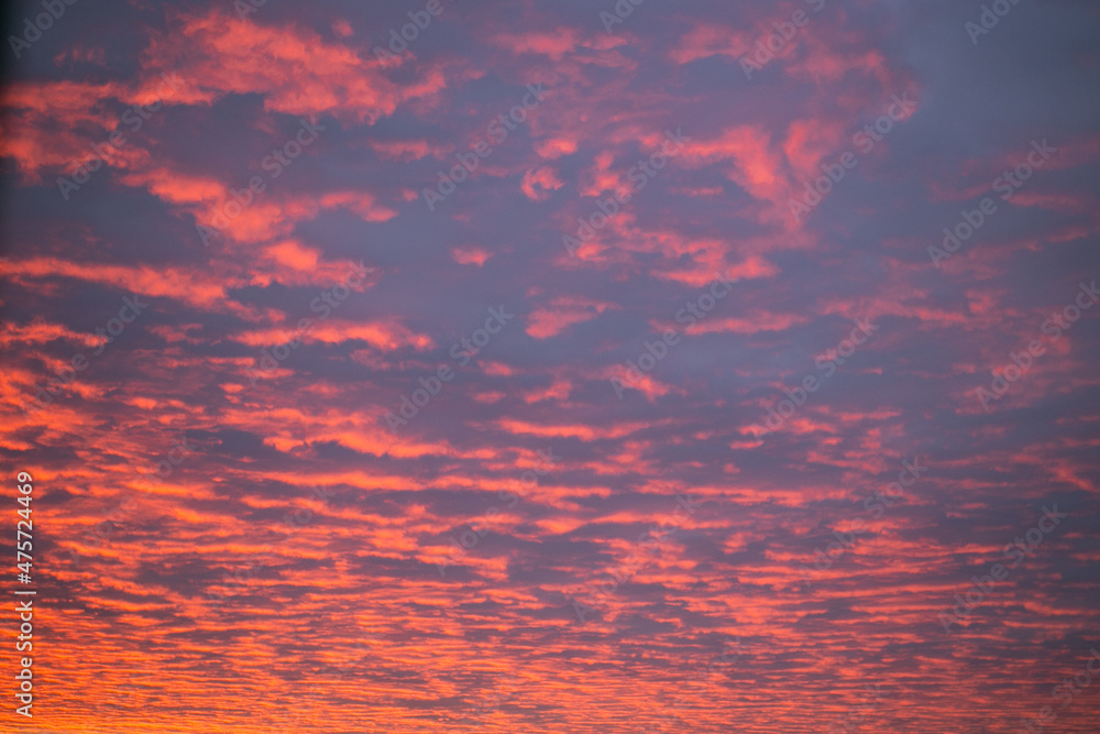 Fototapeta premium red, pink clouds in the sunset sky