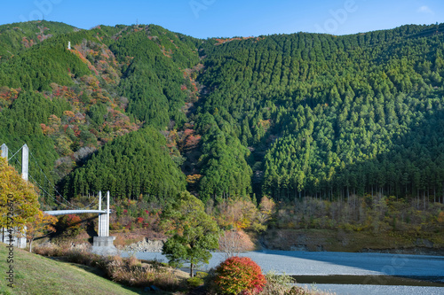 静岡県榛原郡川根本町　紅葉の大井川と南アルプス接岨大吊橋 photo