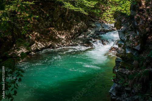 mountain river stone beach and green trees