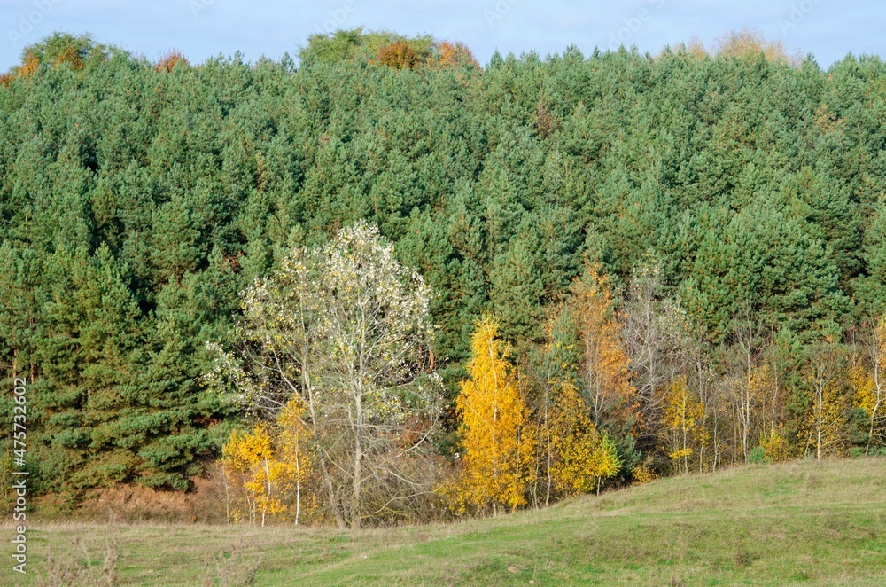 autumn landscape with trees autumn landscape with trees