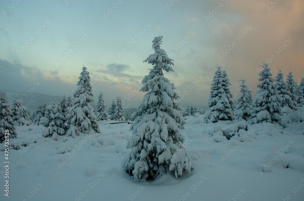 winter landscape in the mountains winter landscape in the mountains