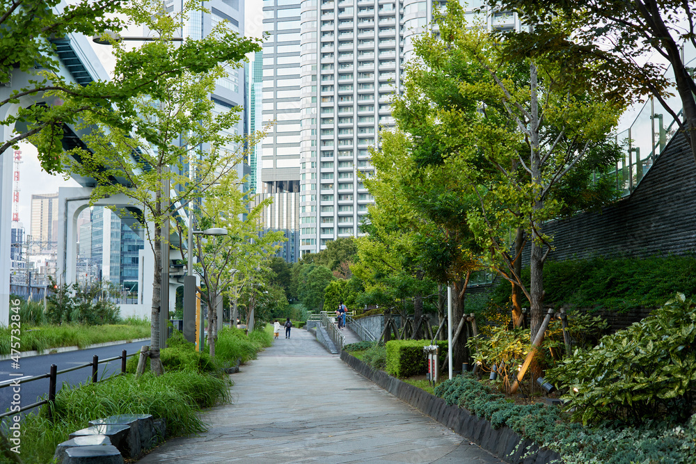 日本の無人の並木道 日本の無人の並木道
