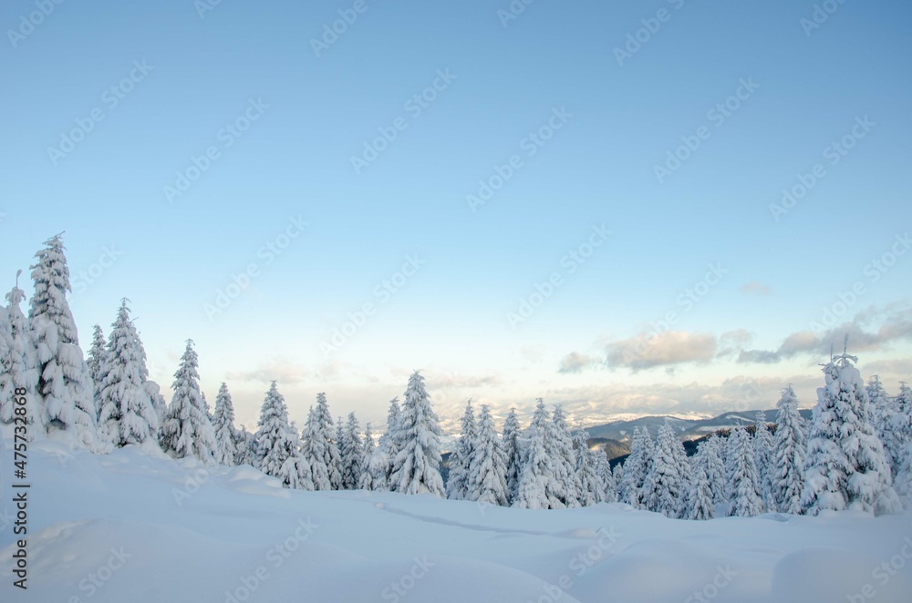 Fototapeta premium winter landscape in the mountains