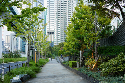 日本の無人の並木道 © photok
